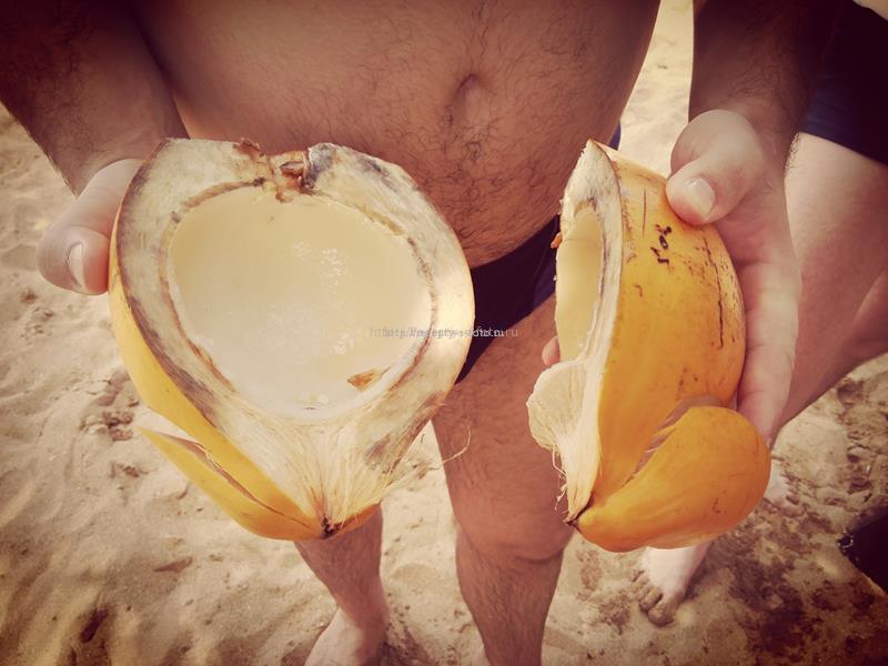 Мякоть кокоса на острове Цейлон