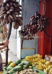 Бананы на базаре Шри-Ланка