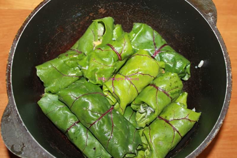 Голубцы в свекольных листьях рецепты с фото пошагово